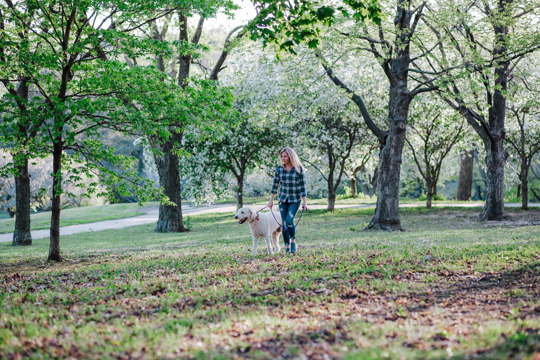 The Oversized Oops: Getting a Massive Dog Without Crunching the Numbers